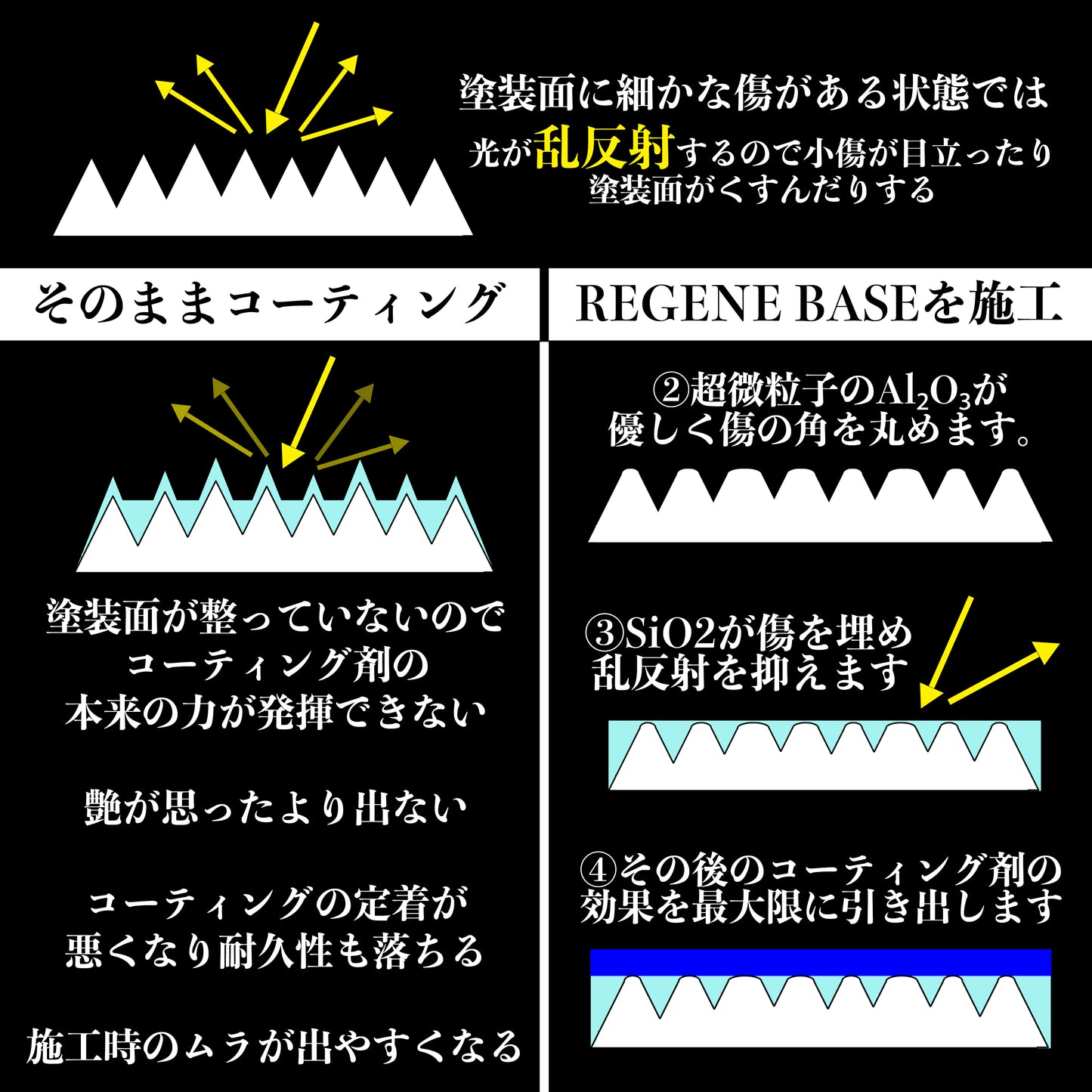 REGENE BASE