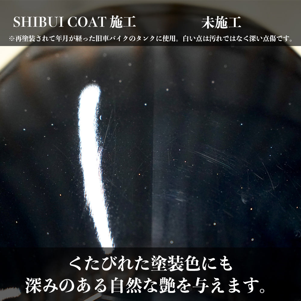 SHIBUICOAT+MICRO FEBER TEDDY(2枚)セット